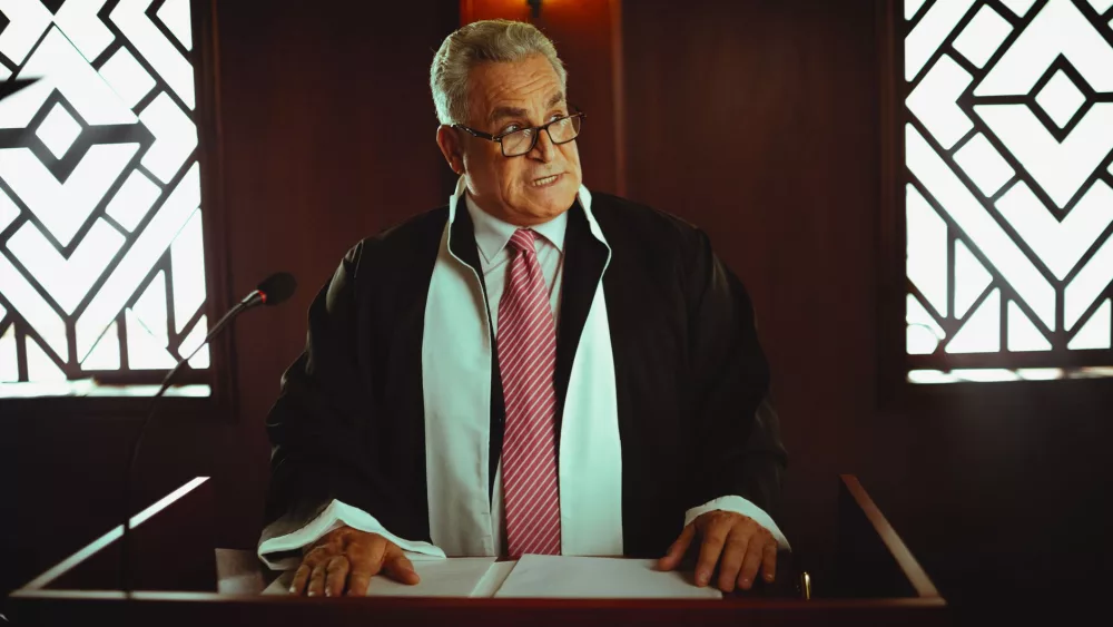 Understanding the Role of an Amicus Attorney in Legal Proceedings